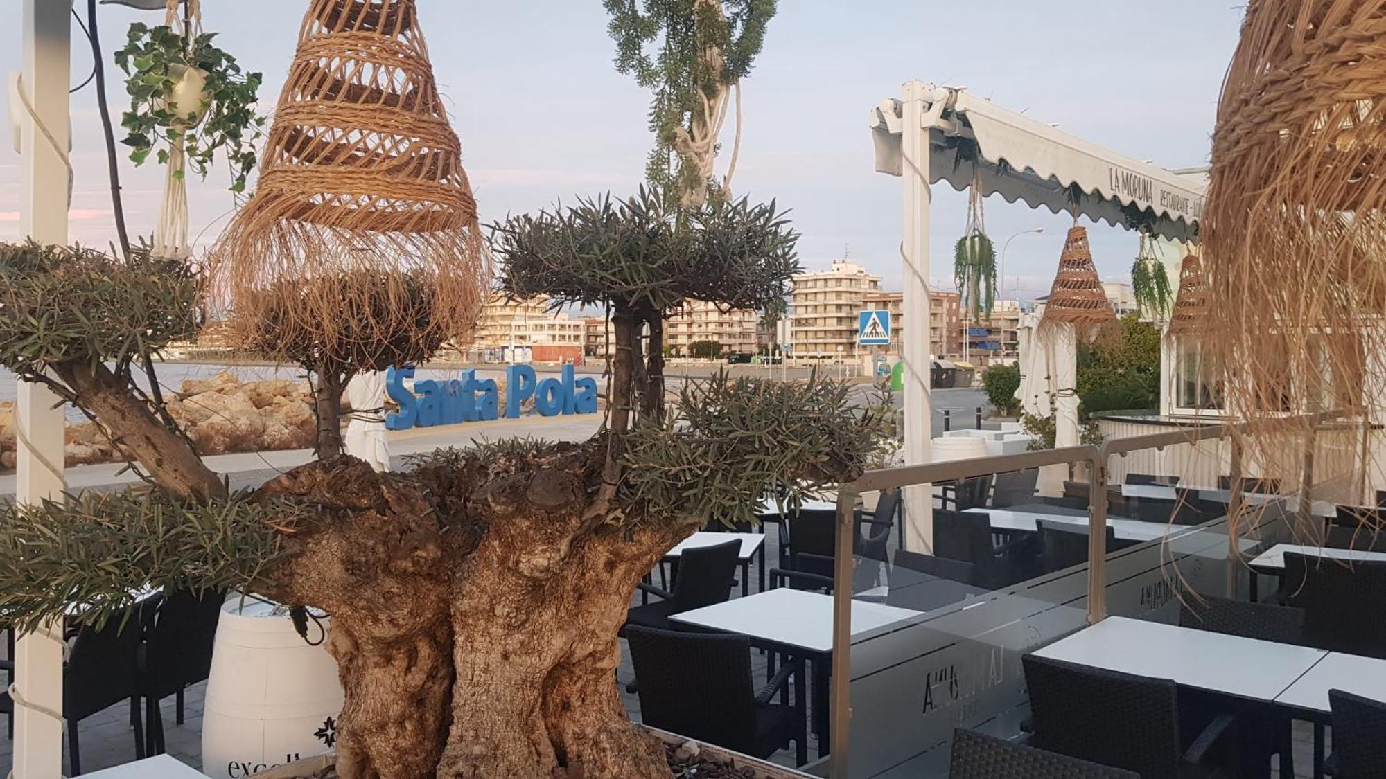 Apartamento Pepi Adults Only Santa Pola Eksteriør billede